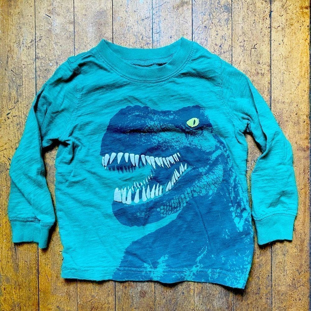 3/$15 Boys Dino T shirt